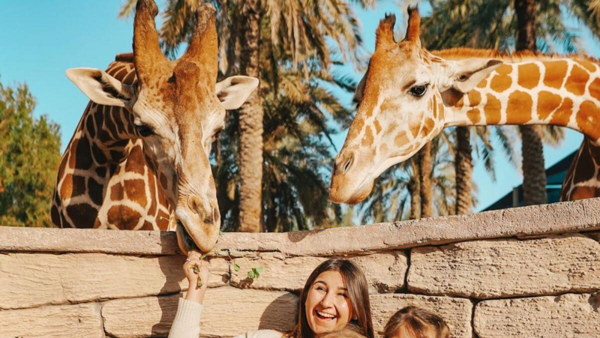 Best Experience for Animal Lovers In the UAE