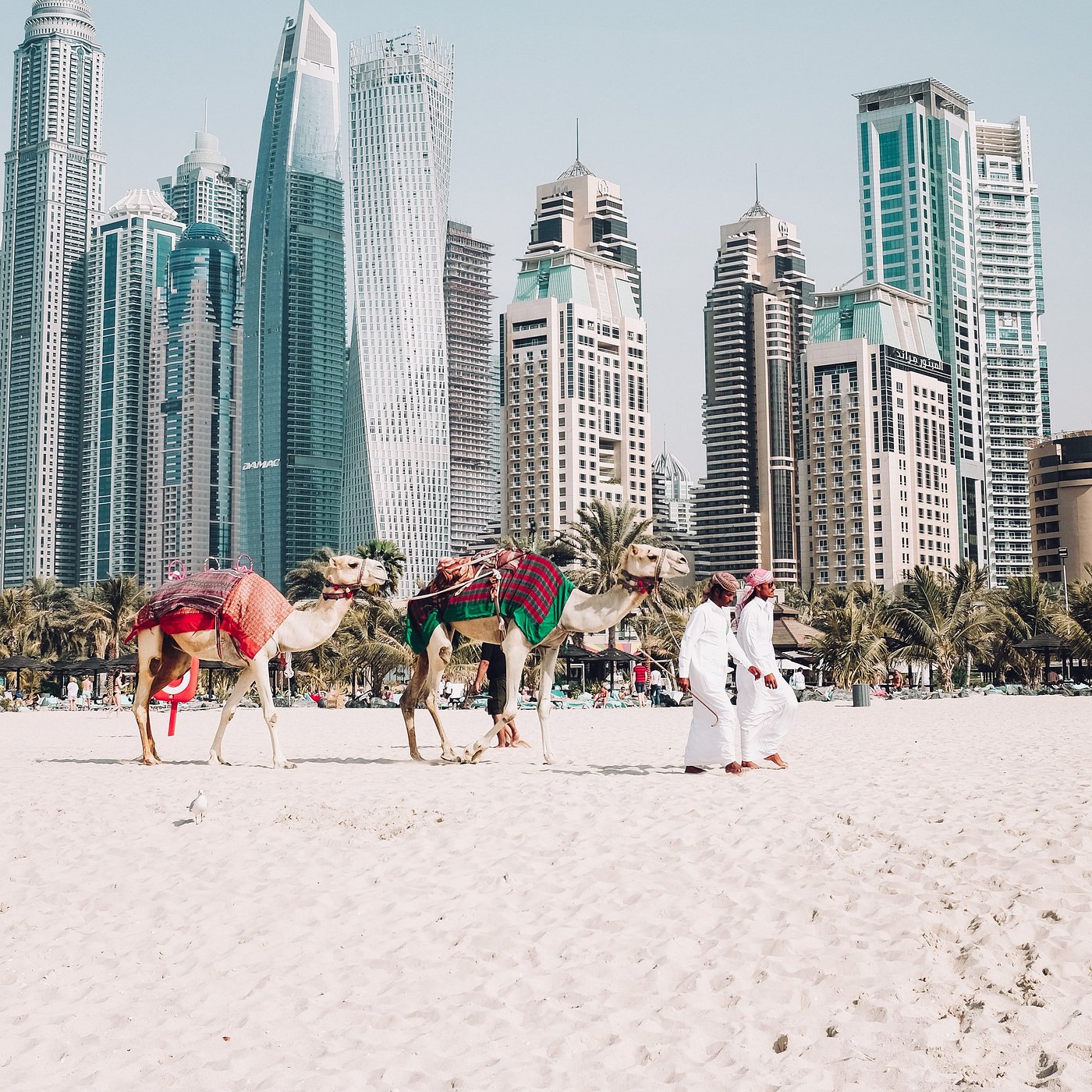 The Best Dubai Experience Gifts for Tourists and Locals Alike In the UAE