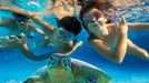 Underwater Adventure! Snorkeling Trip in Fujairah | Adventure at Wondergifts