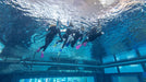 Snorkeling Experience at Deep Dive Dubai | Adventure at Wondergifts
