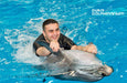 Dolphin & Seal Show for Family of Four at Dubai Dolphinarium | Theme Parks & Attractions at Wondergifts
