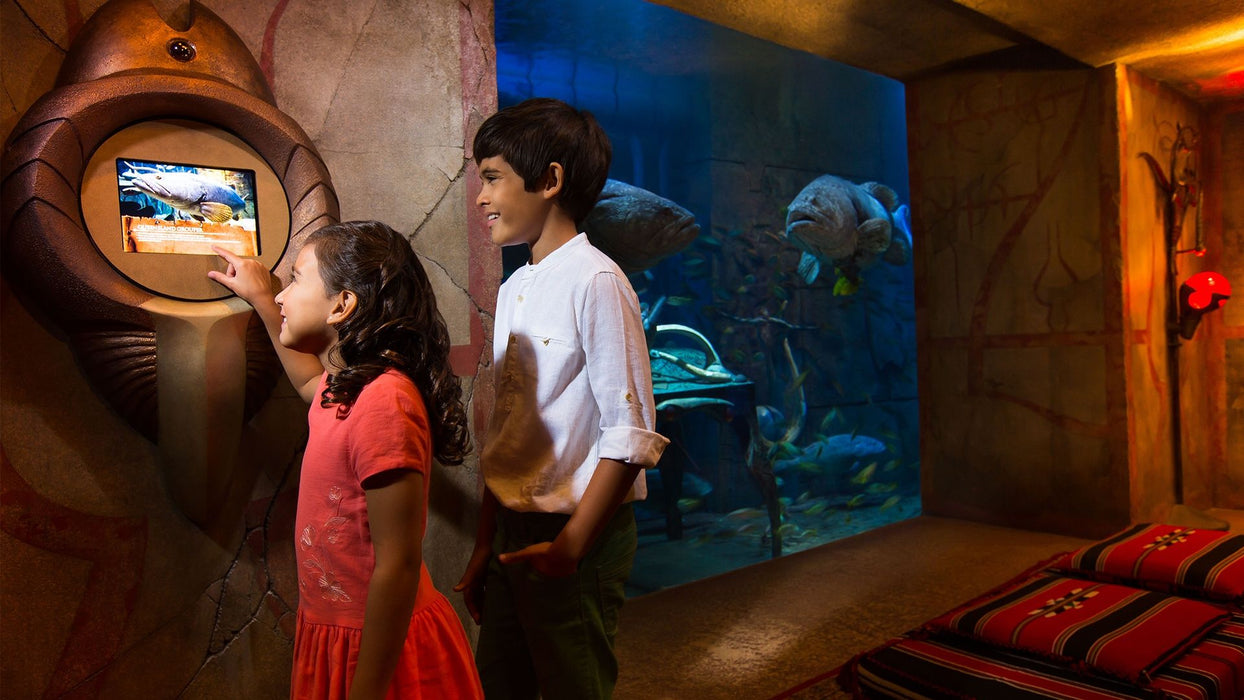 Atlantis Aquaventure Day Pass for One Child | Theme Parks & Attractions at Wondergifts