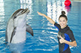 Dolphin & Seal Show for Family of Four at Dubai Dolphinarium | Theme Parks & Attractions at Wondergifts