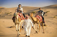 Evening Desert Safari with Dinner, Transfer and More for Two - WONDERDAYS