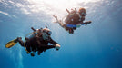 Fujairah Scuba Diving and Snorkeling with Turtles including BBQ Lunch | Adventure at Wondergifts