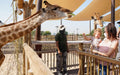 Dubai Safari Park Day Pass for One Child | Theme Parks & Attractions at Wondergifts