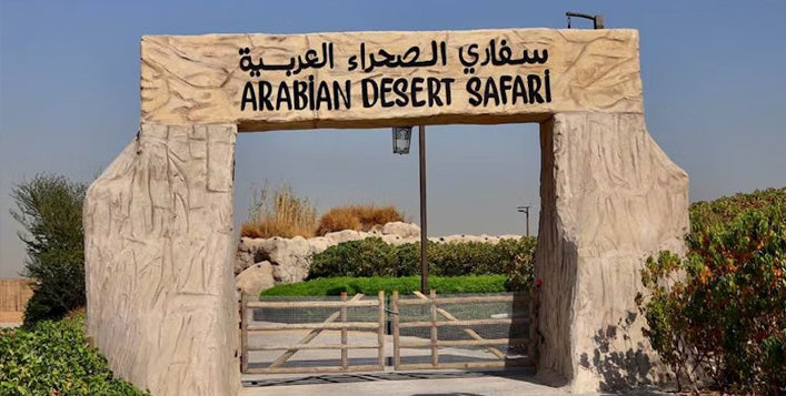 Dubai Safari Park Day Pass for One Adult | Theme Parks & Attractions at Wondergifts