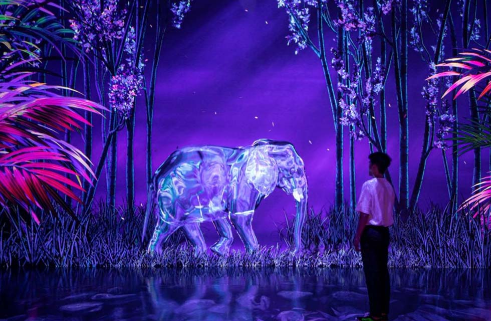 Immersive Art Experience Access for One at Arte Museum in Dubai Mall | ExperienceLifee LLC at Wondergifts