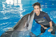 Dolphin & Seal Show for Family of Four at Dubai Dolphinarium | Theme Parks & Attractions at Wondergifts