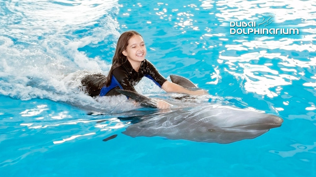 General Admission to Dolphin and Seal Show for Two | Theme Parks & Attractions at Wondergifts