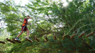 Dubai Aventura Parks - Black Wristband Experience for Two | Theme Parks & Attractions at Wondergifts