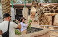 Emirates Park Zoo & Resort Deluxe 1-Night Stay with Zoo Access & Breakfast | Staycation at Wondergifts