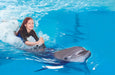 Dolphin & Seal Show General Admission Tickets for 1 Child | Days Out at Wondergifts