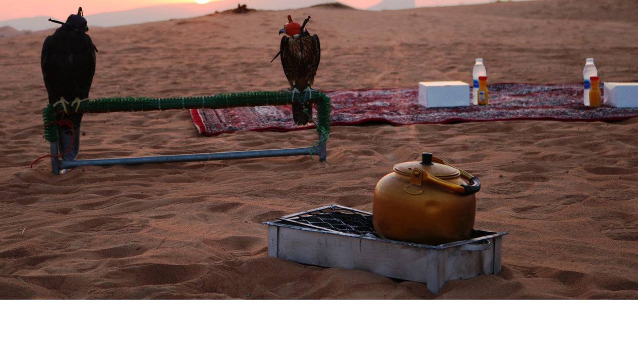 Sunrise Safari & Wildlife Adventure with Breakfast in the Desert for Two