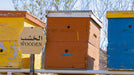 Discover Hatta Honeybee Garden With Your Family Of Four | Days Out at Wondergifts