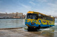 Regular Wonder Bus Tour for One Child: Land and Sea Excursion | ExperienceLifee LLC at Wondergifts