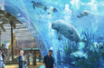 SeaWorld Abu Dhabi General Admission + Entry to Louvre Abu Dhabi for One | Theme Parks & Attractions at Wondergifts