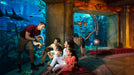 Atlantis Aquaventure Day Pass for One Child | Theme Parks & Attractions at Wondergifts