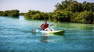 Guided Stand Up Paddle Tour in the Mangrove National Park | Adventure at Wondergifts