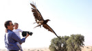 Private Desert Safari & Falconry Experience with Breakfast - WONDERDAYS