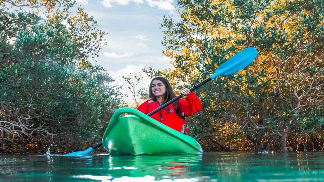 Guided Stand Up Paddle Tour in the Mangrove National Park | Adventure at Wondergifts