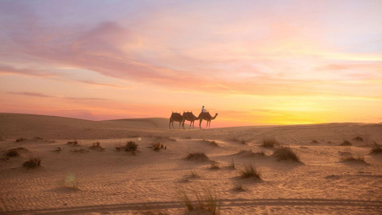 Overnight Desert Escape with Hot Air Balloon Ride, Dinner & Camel Safari for Two