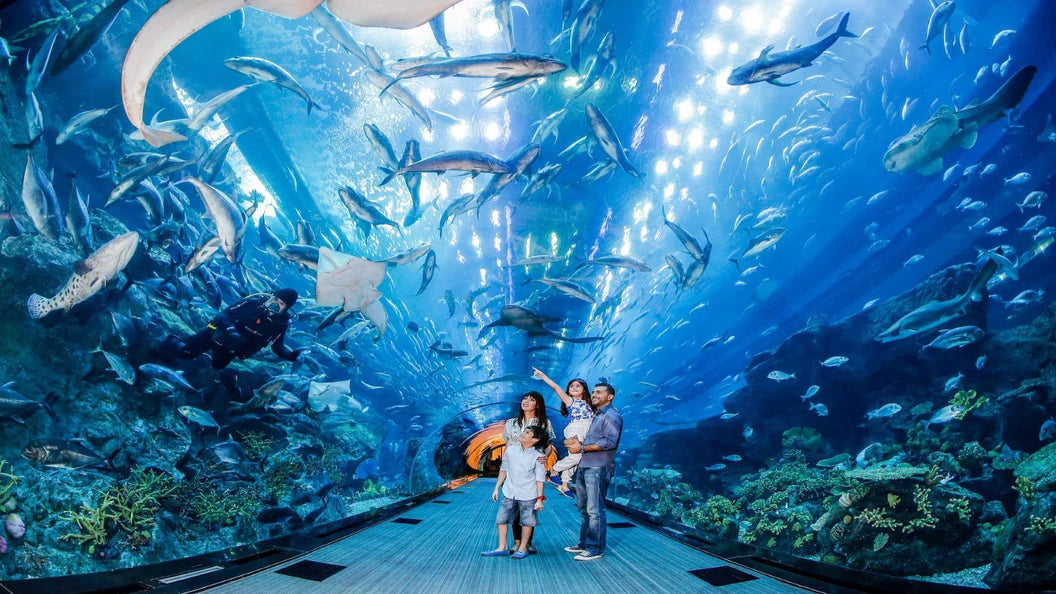 Dubai Aquarium Access with Meal For One at Carluccio's - Dubai Mall | Theme Parks & Attractions at Wondergifts