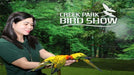 Entry for Family of Four at the Creek Park Exotic Bird Show | Theme Parks & Attractions at Wondergifts