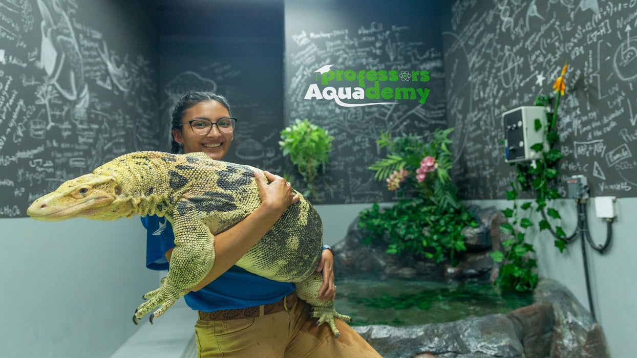 All Access Family Pass at The National Aquarium Abu Dhabi for Four | Days Out at Wondergifts