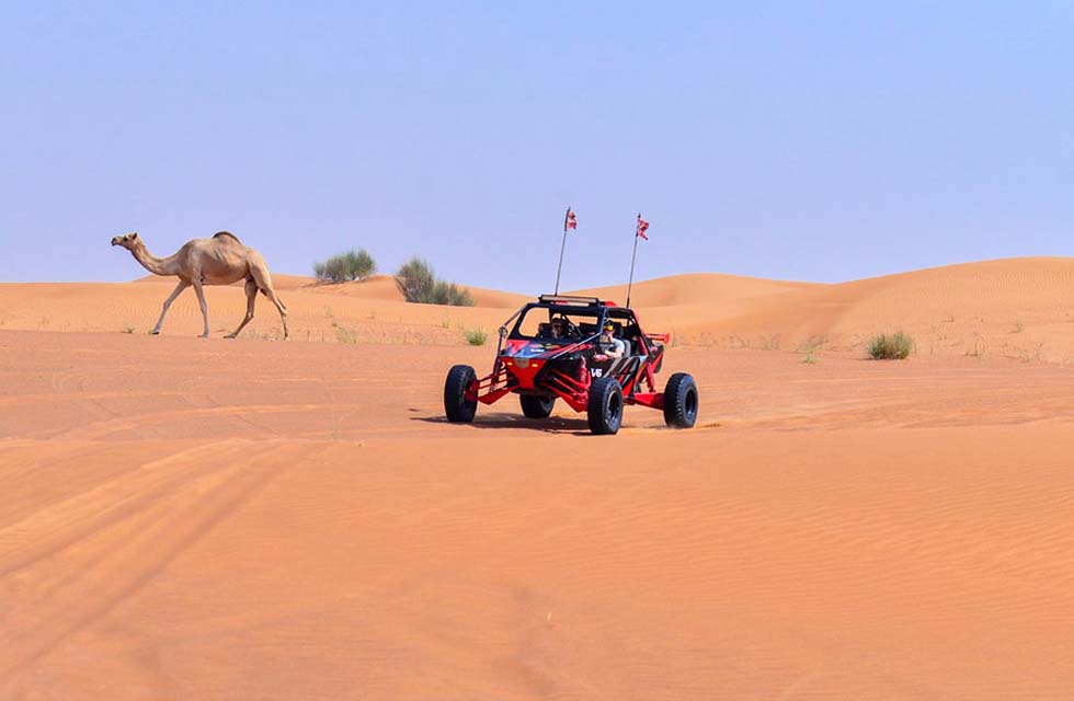 60-Minute Adrenaline-fueled Dune Buggy Adventure for Two