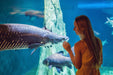 Dubai Aquarium & Underwater Zoo General Admission | Theme Parks & Attractions at Wondergifts