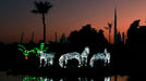 Dubai Garden Glow with Access to Glow Park and Dinosaur Park for One - WONDERDAYS