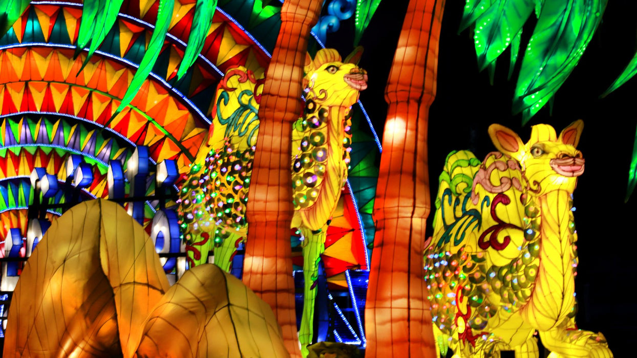 Dubai Garden Glow with Access to Glow Park and Dinosaur Park for One - WONDERDAYS