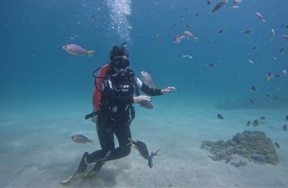 Thrilling Fujairah Two Dives Scuba Adventure and BBQ Lunch