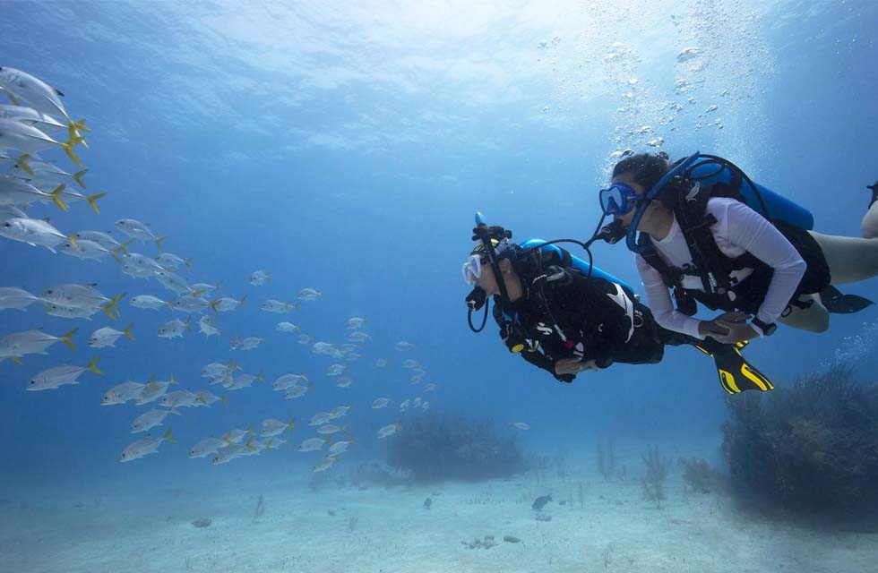 Thrilling Fujairah Two Dives Scuba Adventure and BBQ Lunch