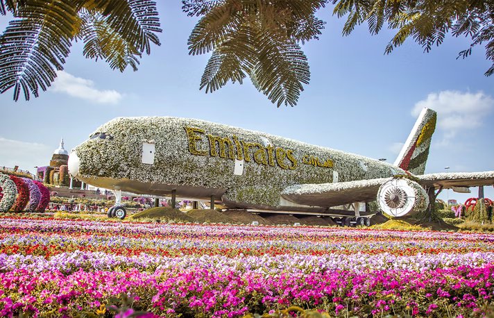 Dubai Frame and Miracle Garden Entrance Ticket for One | Theme Parks & Attractions at Wondergifts