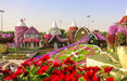 Dubai Frame and Miracle Garden Entrance Ticket for One | Theme Parks & Attractions at Wondergifts