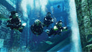 Atlantis Discover Scuba Dive: Plunge into the Ambassador Lagoon - WONDERDAYS