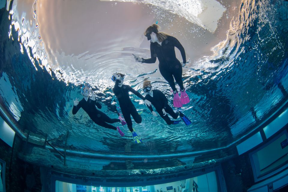 Snorkeling Experience at Deep Dive Dubai | Adventure at Wondergifts
