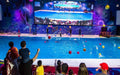 Standard Dolphin and Seal Show for One at Dubai Dolphinarium | Theme Parks & Attractions at Wondergifts