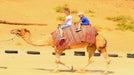 Ras Al Khaimah Afternoon Desert Safari with Dinner for Two | Days Out at Wondergifts