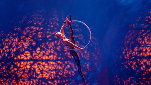 La Perle Show Bronze Tickets for Two | Days Out at Wondergifts