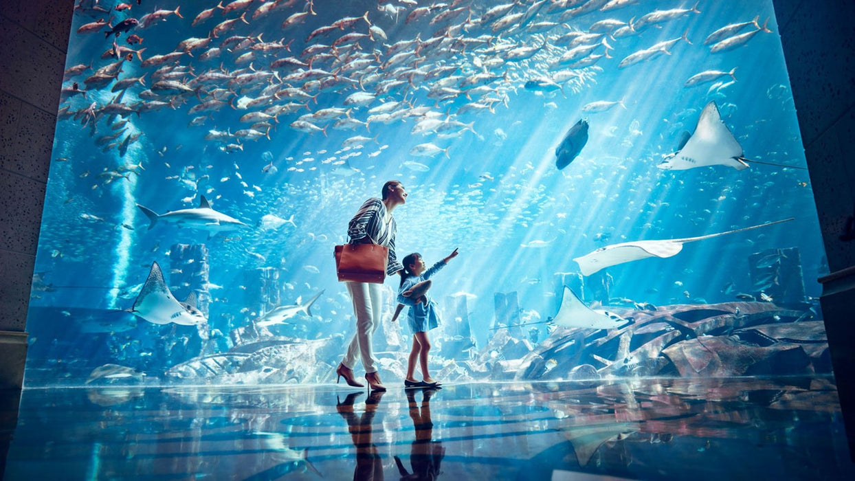 Atlantis Aquaventure Day Pass for One Child | Theme Parks & Attractions at Wondergifts