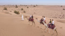 Camel Desert Safari, Sunset Falcon Show and Dinner for Two - WONDERDAYS