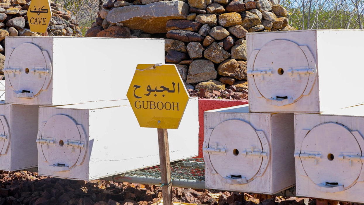 Discover Hatta Honeybee Garden With Your Family Of Four | Days Out at Wondergifts