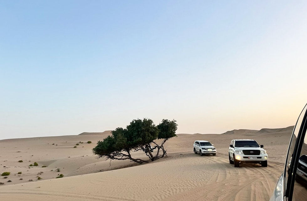 Sunset Desert Safari Experience with BBQ Dinner for One in Abu Dhabi