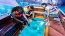 Bu Tinah Glass Bottom Dhow Cruise for Two at The National Aquarium Abu Dhabi | Days Out at Wondergifts