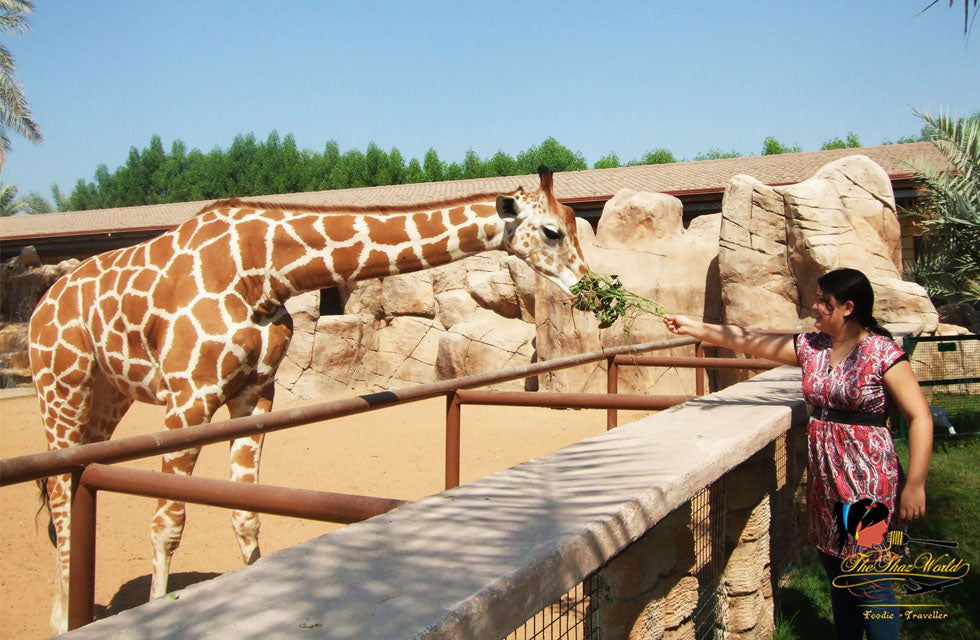 Family Stay at Emirates Park Zoo & Resort with Zoo Access and Breakfast for 3