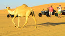 Ras Al Khaimah Afternoon Desert Safari with Dinner for Two | Days Out at Wondergifts