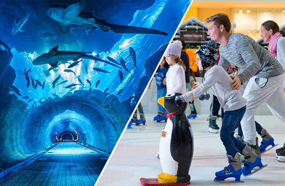 General Admission at Dubai Aquarium and Dubai Ice Rink for 1 | Theme Parks & Attractions at Wondergifts